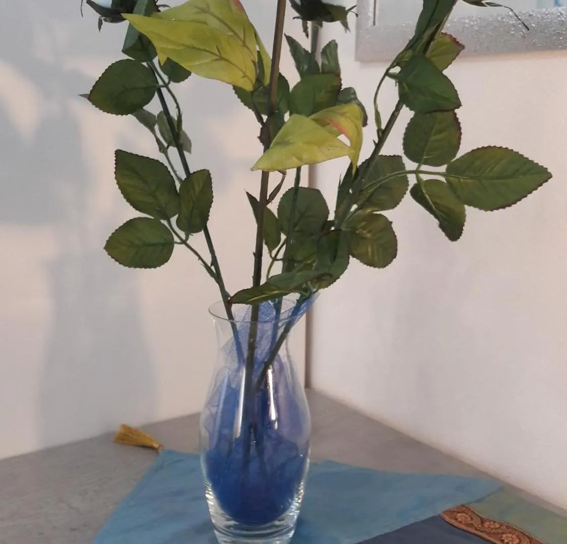 Apartmán Norman House Palermo